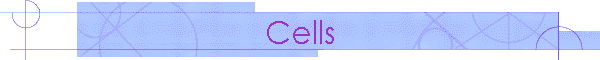 Cells