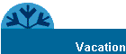 Vacation